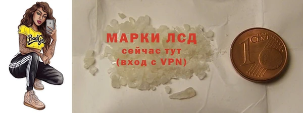 PSILOCYBIN Алзамай