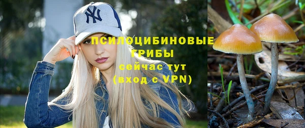 jwh Абаза