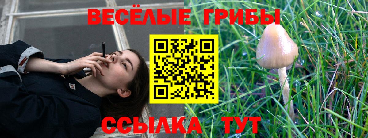 Вологда  Галлюциногенные грибы GOLDEN TEACHER  Псилоцибиновые грибы MAGIC MUSHROOMS  Вход с VPN 
